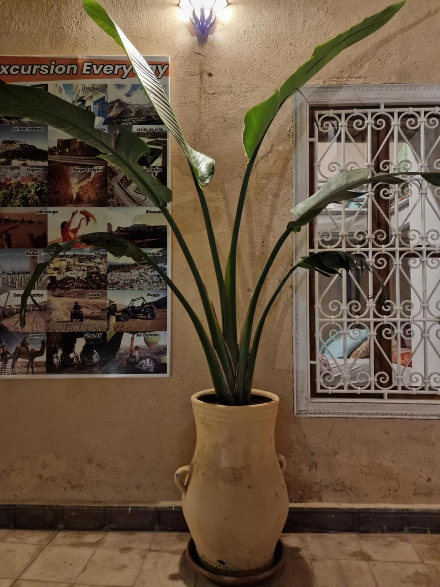 Hostel Laksour Marrakesh Ngoại thất bức ảnh